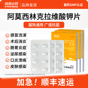 阿莫西林克拉维酸钾宠物猫咪狗狗消炎片感冒药打喷嚏流鼻涕支专用