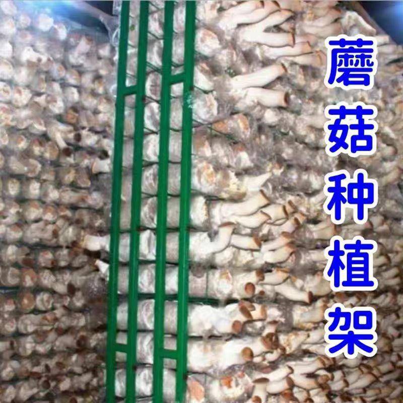 新款菌菇种植架超厚耐用种植架平菇种植架加厚镀锌蘑菇养殖架