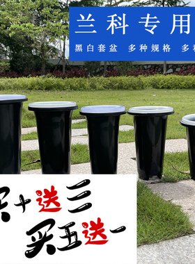 兰花套盆 兰花盆加固黑色透明塑料盆加厚加高简约兰花专用盆兰草