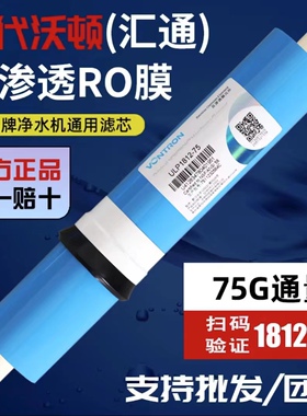 汇通时代沃顿RO反渗透滤芯净水器