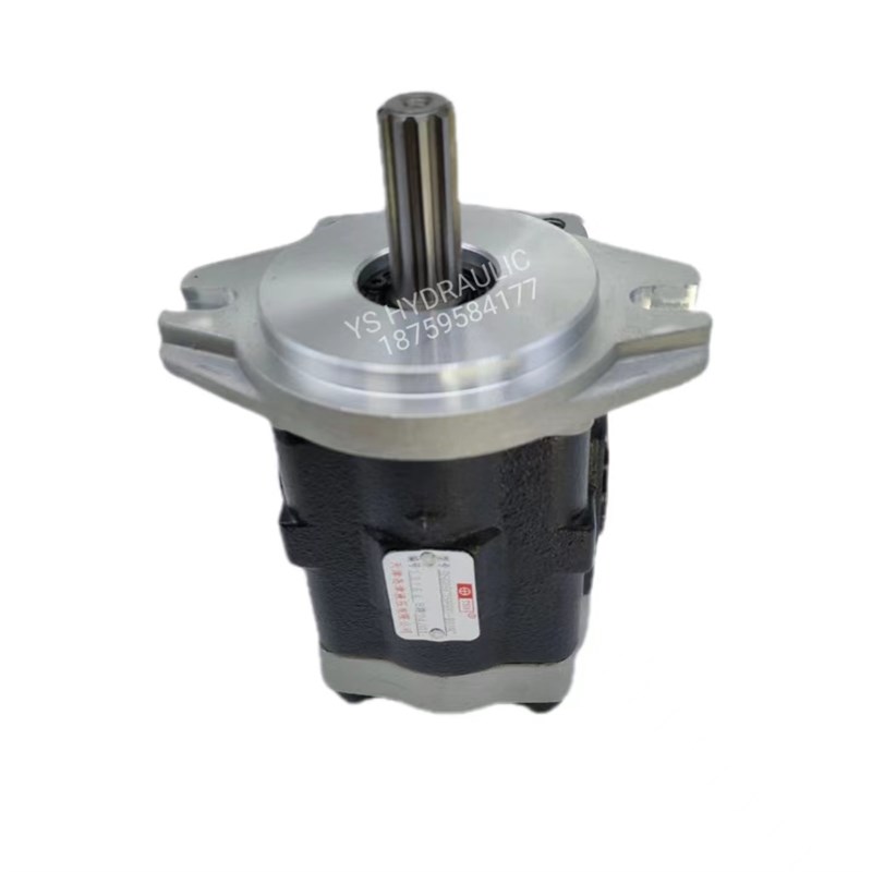 天津岛津液压电动叉车齿轮p油泵DSG05低噪音泵杭叉合力诺力TEU1.5