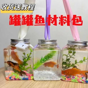 金鱼盒子网红小夜光泡泡鱼一整套发光方形罐罐鱼T鱼缸瓶子摆地摊