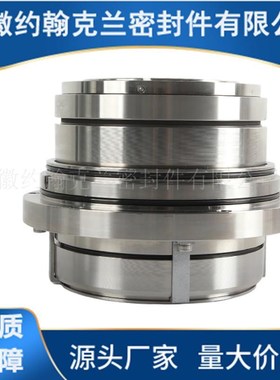压力筛机械密封 LP-D-SA-D31H1/85I-DE机械密封 耐腐蚀 现货供应