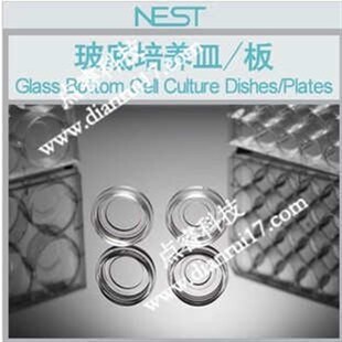 NEST玻底培h养皿共聚焦培养皿共聚焦培养板20mm 15mm 384孔