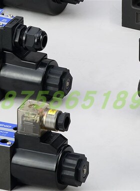 LYOUTIAN台湾电磁阀DSG-02-2B40-AE2-20 DSG-02-2B2-A2-20