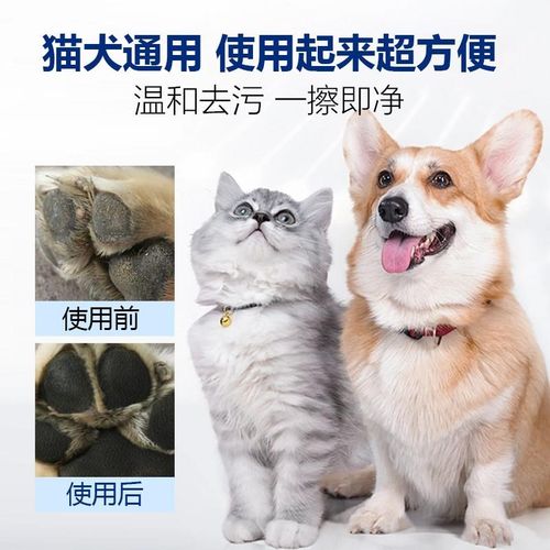 宠物洁足泡沫猫咪狗狗洗脚擦F脚神器爪子清洁肉垫护理