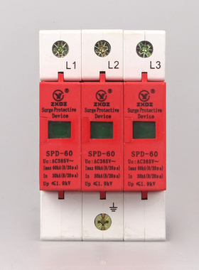 中厦浪涌家用防雷击避雷器开关电涌/泳保护器SGPD60KA3P3极220vB