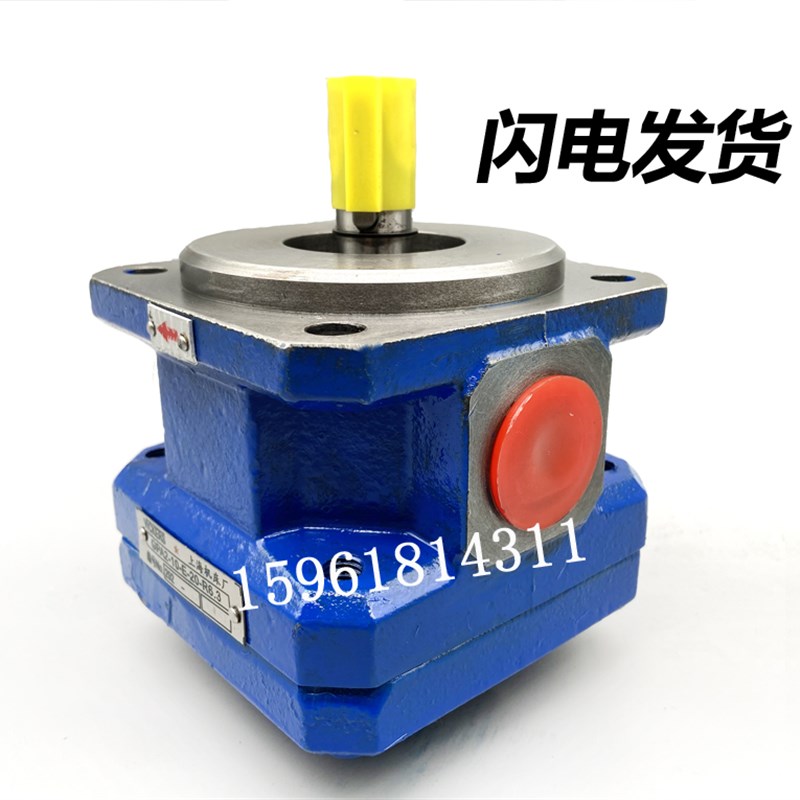 外圆磨床油泵包邮M1432B磨床M1332BGPA2-1I6-E-20R MQ1350齿轮油