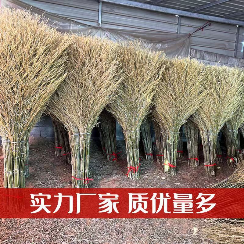 扫帚农村笤帚学校竹制家r用竹丝竹子室外小区耐用环卫车除尘竹扫