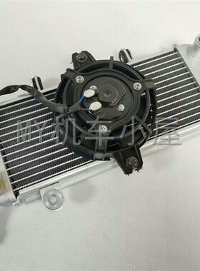适用国四V9复古摩托车200水冷神驹312烽火VP8水箱街车跑车电喷散