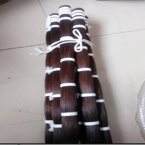 尾毛白色马尾毛  P装饰用马自然