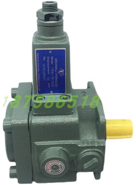 YINGCHUANh银川长城变量叶片泵YBX-10V3 D10V3 YBX-20V3 YBX-D32V