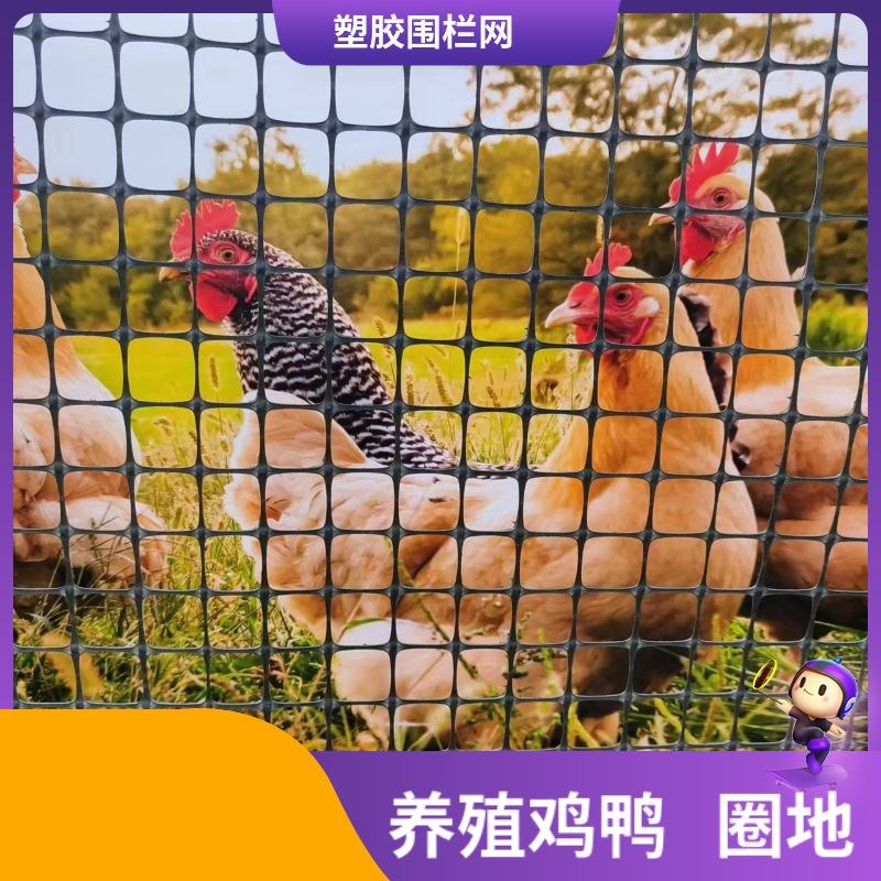 塑胶网格防护养殖菜园栅s栏户外拦鸡王子圈玉米圈地鸡鸭围栏网
