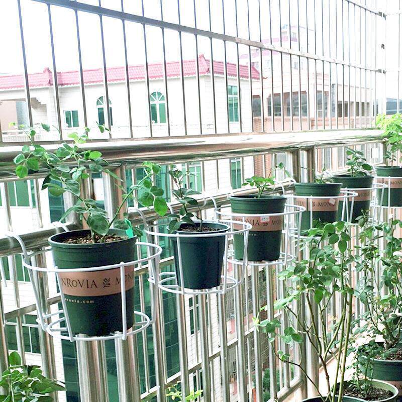 水培圆形铁架子简约铁艺阳台悬挂篮花架铁丝小号绿植挂钩清