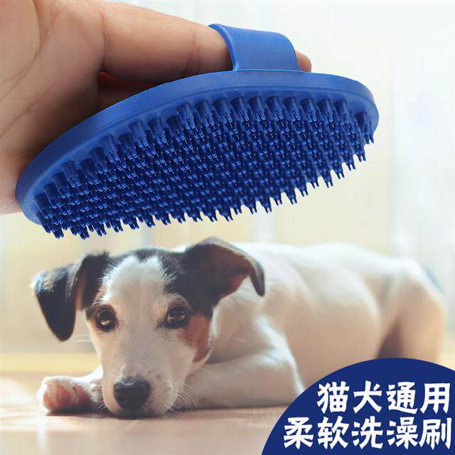 小狗洗澡刷子宠物狗狗洗澡神器按摩刷子按摩刷圆形刷防咬手掌刷狗