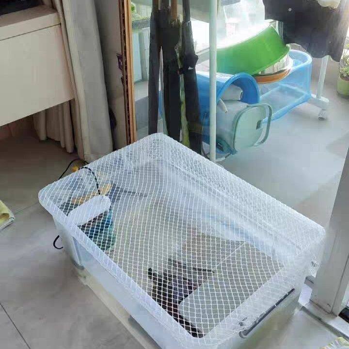 塑料箱网罩鱼缸防跳网乌龟箱防逃网周转箱防鱼跳网养鱼池防跳网