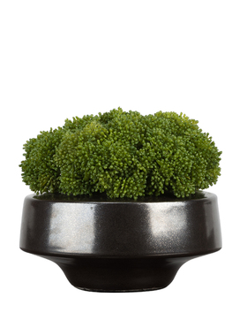 新中式仿真花艺摆件永生苔藓套装餐桌前台洽谈桌售楼X处样板房软