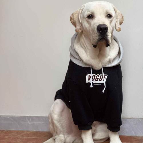 中大型犬秋冬款连帽保暖卫衣