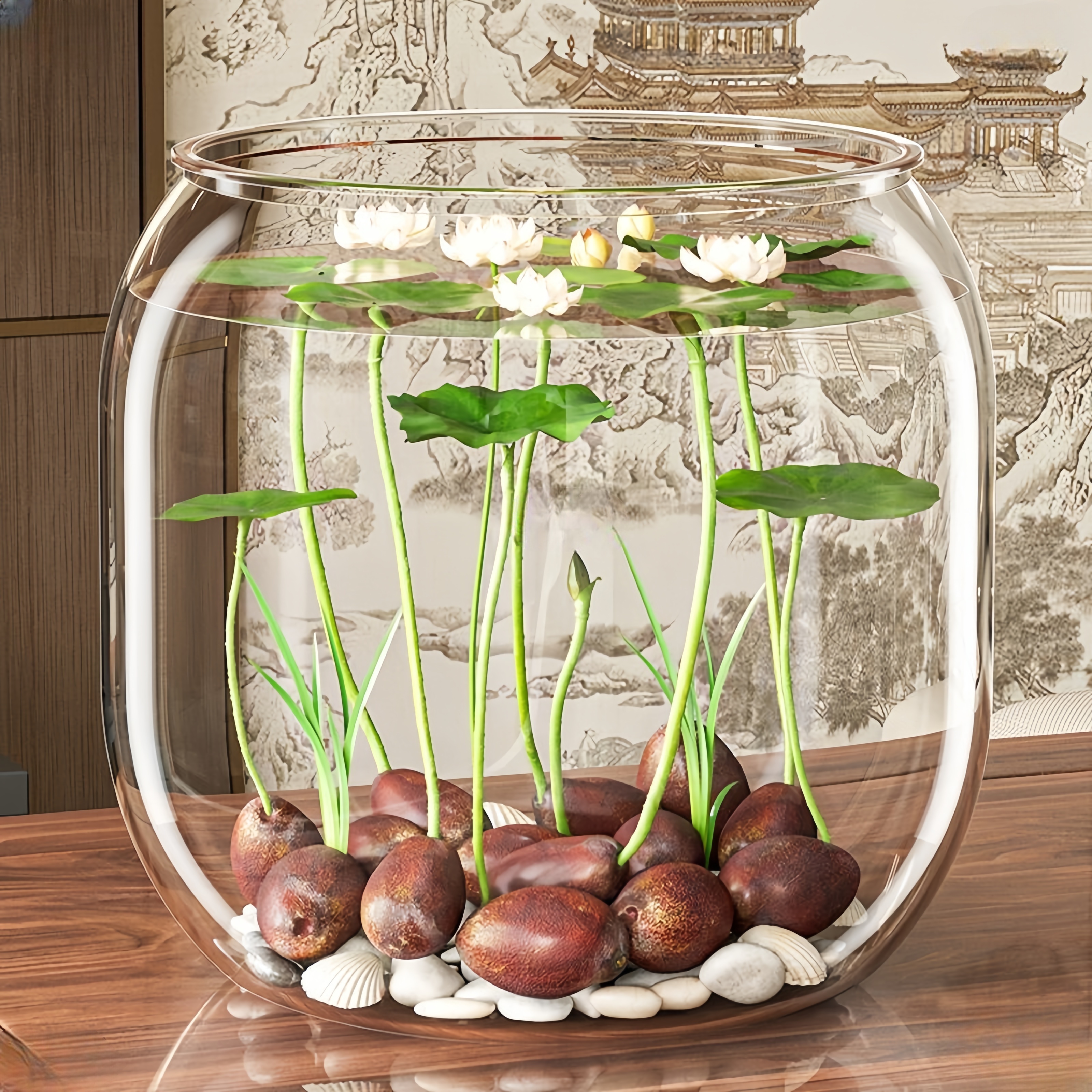 水培植物碗莲睡莲荷花带花苞鱼缸懒人水养富贵竹室内绿植花卉盆栽