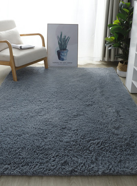 Fluffy Area Rugs for Bedroom Shaggy Floor Mat跨境香港出口国