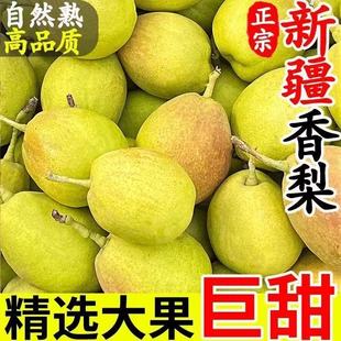 新鲜库尔勒香梨全母梨子新鲜鲜果当季水果孕妇整箱包邮
