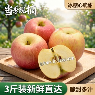 新鲜冰糖心丑苹果 包邮 红富士苹果脆甜多汁苹果10当季 水果平果整箱