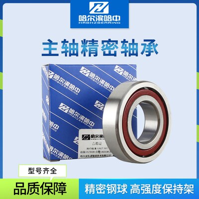 哈尔滨角接触球轴承7315 7316 7317 73D18 7319 7320 7322 AC P5