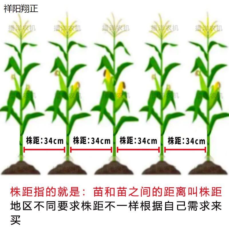 玉米播种机点播机人工种t地播种器花生黄豆多功能精量点播种植机
