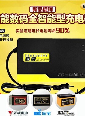 新本冈田6专用0电动车k充电p器48V60V4V72V8V84VG车96Vrmviv122