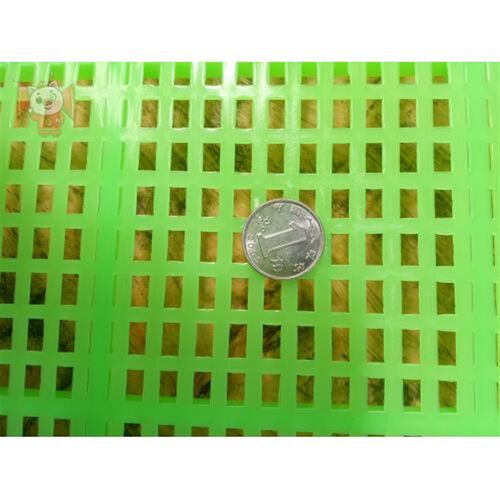 养蚕盘5.5公分j养蚕用用品塑料蚕簸箕蚕匾筐蚕箱小蚕共育盒蚕匡