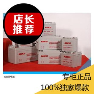 BAYKEE柏克蓄电池12V150AH 质保三年 6GFM150应P急储能设备专用