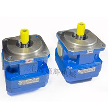 外圆磨床油泵包邮M1432B磨q床M1332BGPA2-10-E-20R MQ1350齿轮油