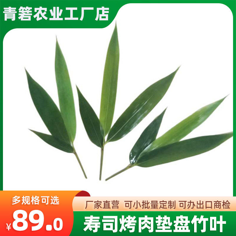 厂家直销粽子叶日式装饰商用烤肉寿司料理摆盘小粽叶竹叶竹片竹子