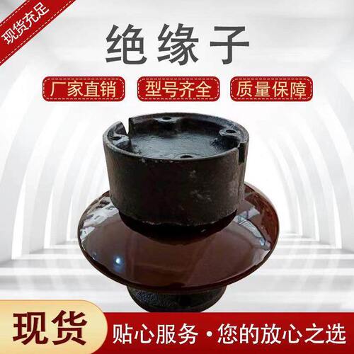电站用针式支柱绝缘子电解铝厂用电解槽支撑绝缘子ZPD-10  ZPD-35
