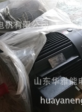 曲阜金升电机鲁都YB3-H180L-4-22电机60HZ频率 卧式顺时非轴伸端