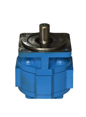 供应CBG系列低压泵CBG2063齿轮泵型号全铸铁耐用易更换