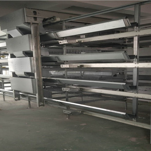 自动捡蛋机 拾蛋装置 占地面积小 节约土地集约化程度高