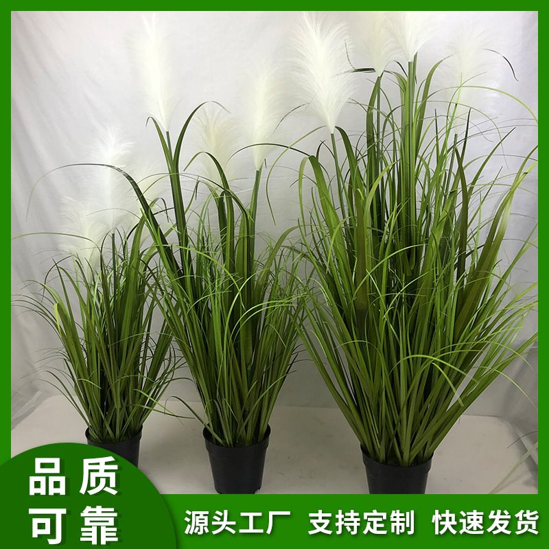 仿真盆景日系苗苗花艺家居植物客厅装饰盆景大型仿真植物仿真芦苇