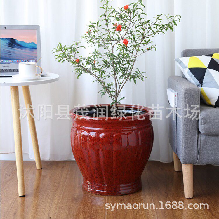 白色陶瓷花盆2021新款设计感大号北欧简约大口径落地花盆深高盆