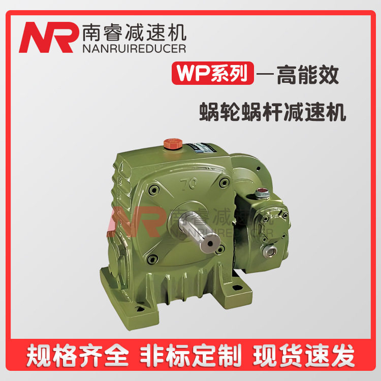 WPW100小型立式蜗轮蜗杆减速机