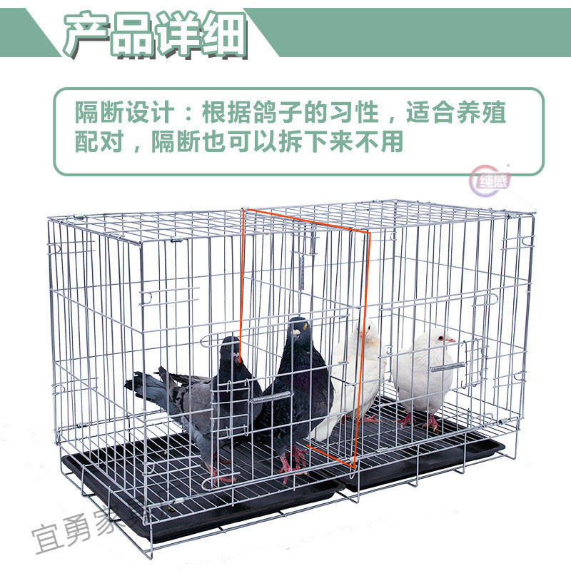 鸽子笼养殖笼鸽子笼子配对笼笼子新型大号繁殖鸽笼包邮鸽子笼家用