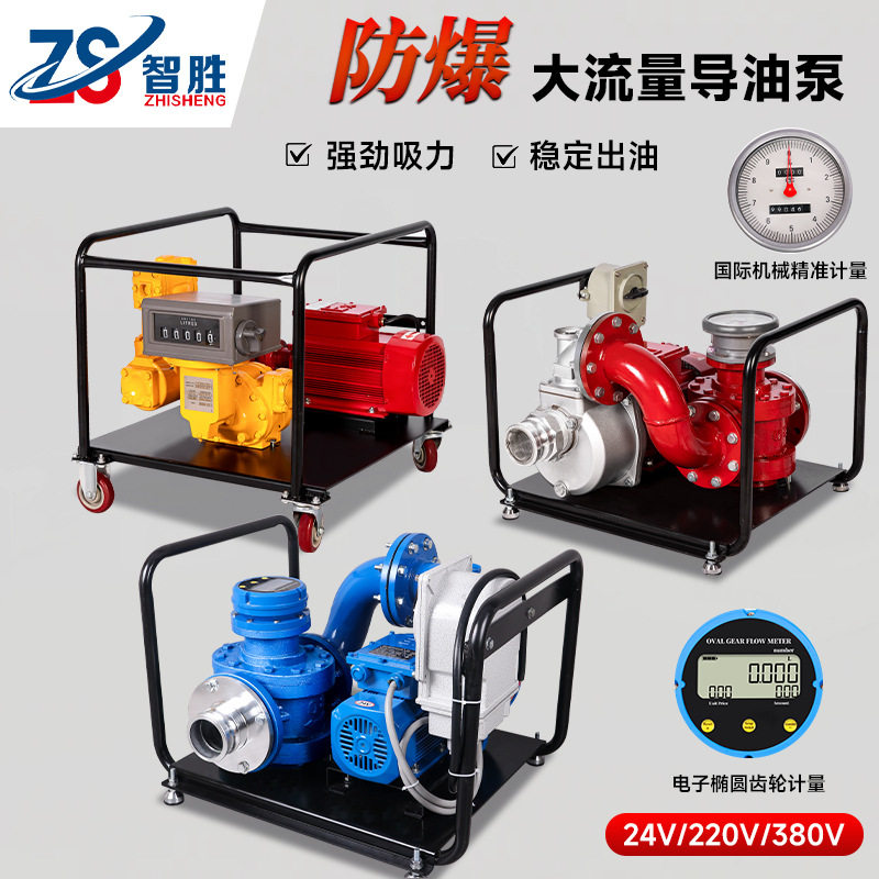 智胜 大流量计量导油泵 柴油/汽油罐车卸油泵24V/220V/380V定量泵