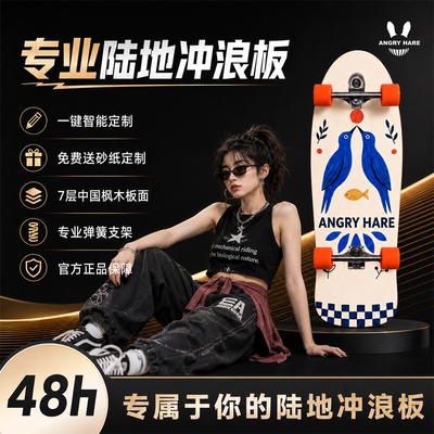 ANGRY HARE陆地冲浪板弹簧桥成人男女生儿童初学者免蹬地专业滑板