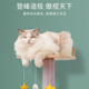 现货云端实d木猫爬架猫窝猫树一体大型猫架子剑麻通天柱耐抓不占