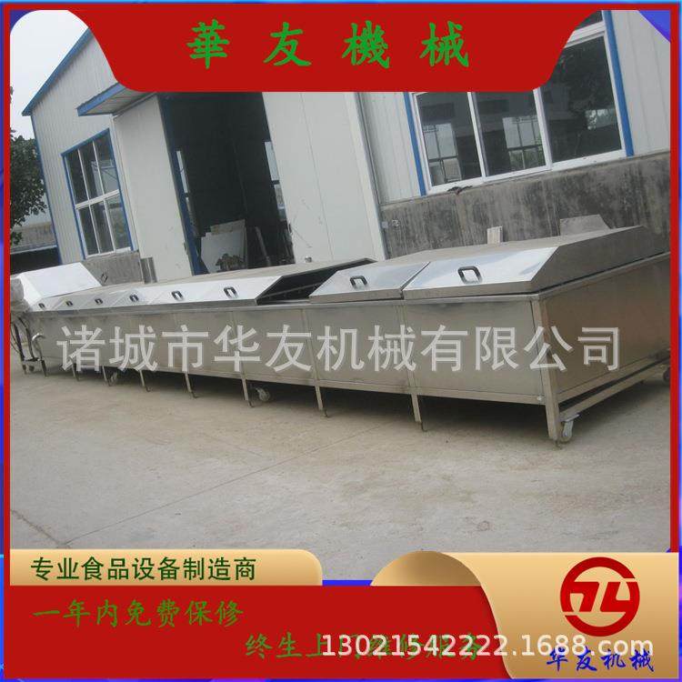 果蔬加工设备豆角菠菜芹菜定色杀青漂烫机桑芽菜翻浪清洗设备