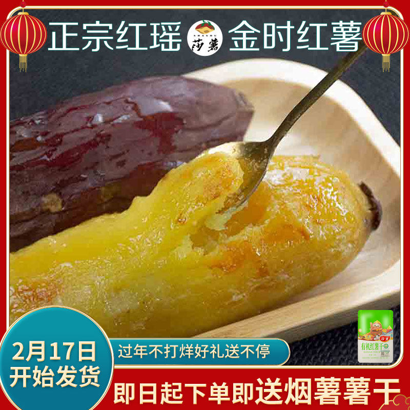 正宗红瑶红薯蜜薯金时红薯新鲜蜜薯农场产地直发红薯糖心5斤精装