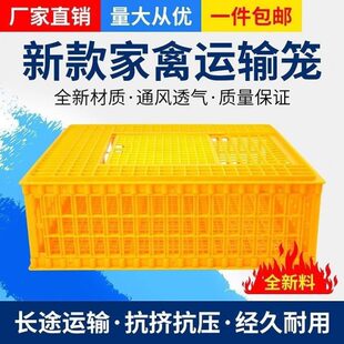 鸡笼周转箱加厚大号塑料鸡鸭运输笼家用养殖防摔家禽周转筐兔笼子