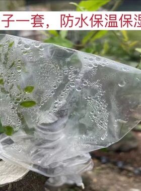 嫁接专用套袋透明透光果树保温保湿袋园艺K花木树苗盆栽塑料密封