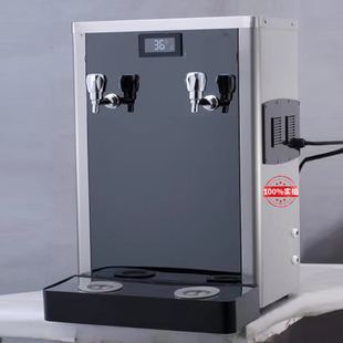 商用吧台饮e水机带过滤开水机大容量开水器学校公共不锈钢直饮机