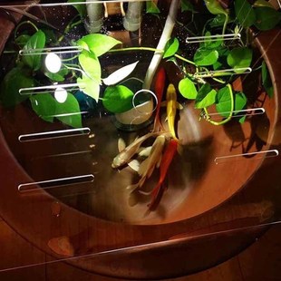 鱼缸盖板鱼缸盖板防跳网亚克力透明盖上顶部盖送卡扣配件翻盖小鱼